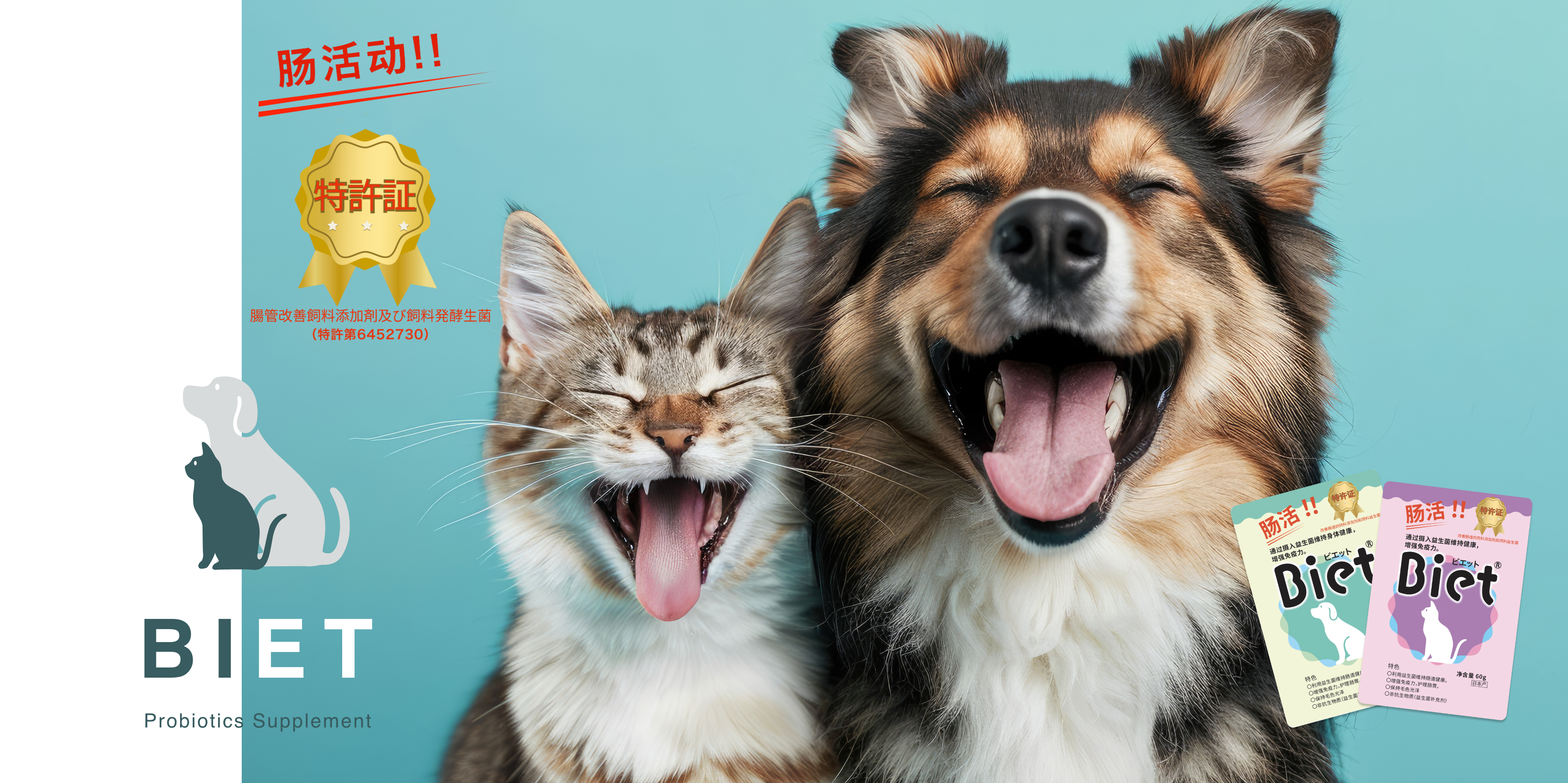 为您的猫狗带来微笑 - Biet，一种获得专利的肠道补充剂